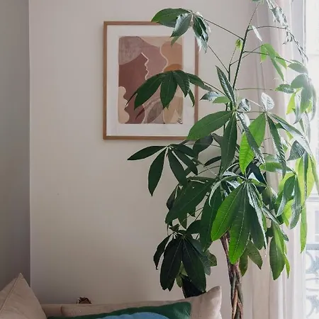Veeve - Gentle Greens París